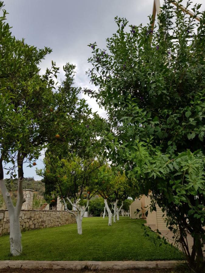 Το Είδωλον Leilighet Epidaurus Eksteriør bilde